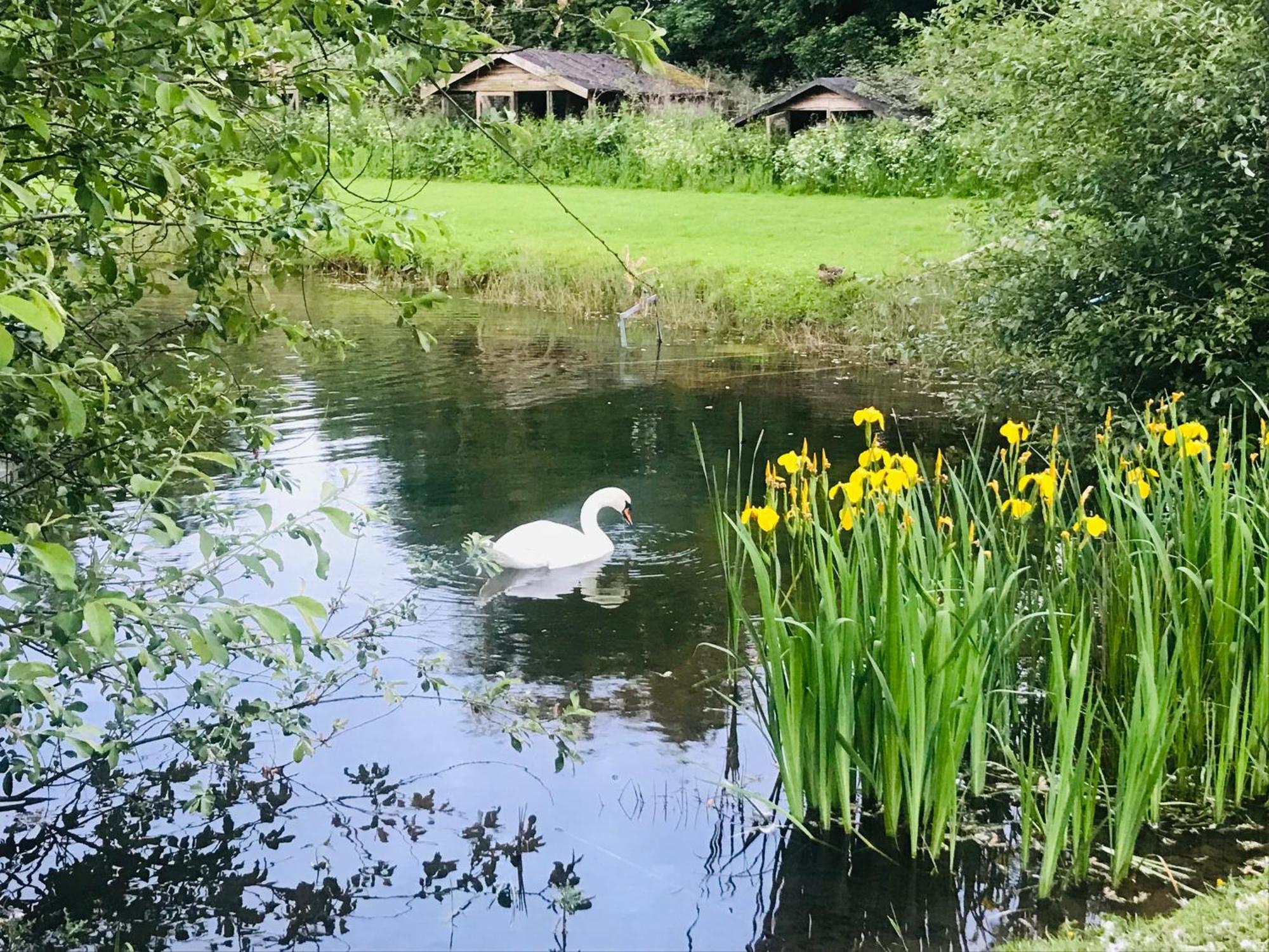 Bransford Farm Fishery & B & B Exterior photo